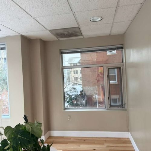 WhatsApp Image 2026-03-09 at 13.18.23